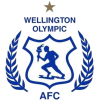 Team logo